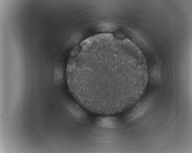 X0000111600268200908271015
