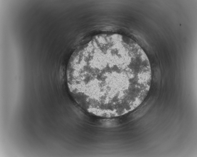 X0000111600273200908271015