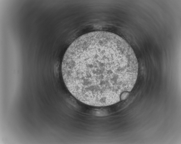 X0000111600275200908271015