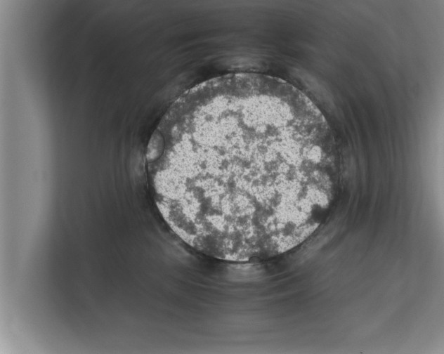 X0000111600281200908271015