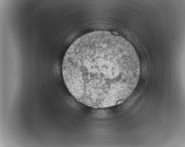 X0000111600282200908271015