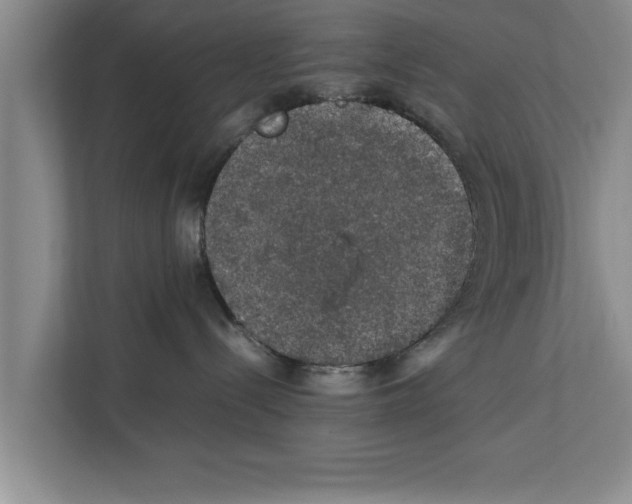 X0000111600288200908271015