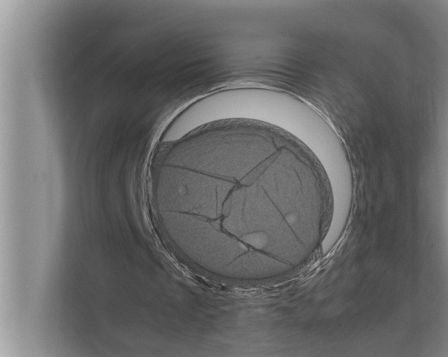 X0000111600289200908271014