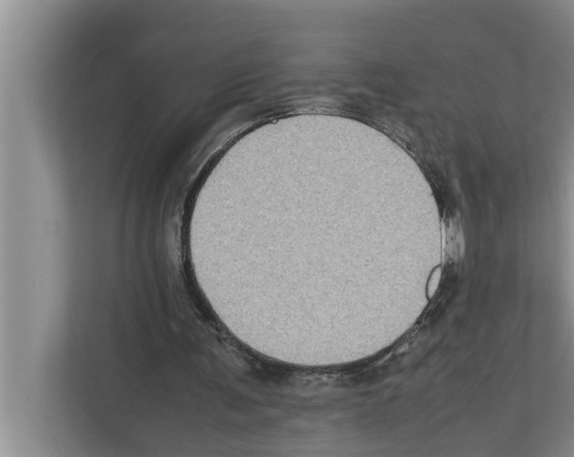 X0000111600291200908271014