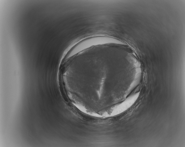 X0000111600292200908271014