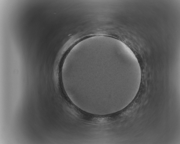 X0000111600295200908271014