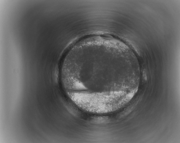 X0000111600304200908271014