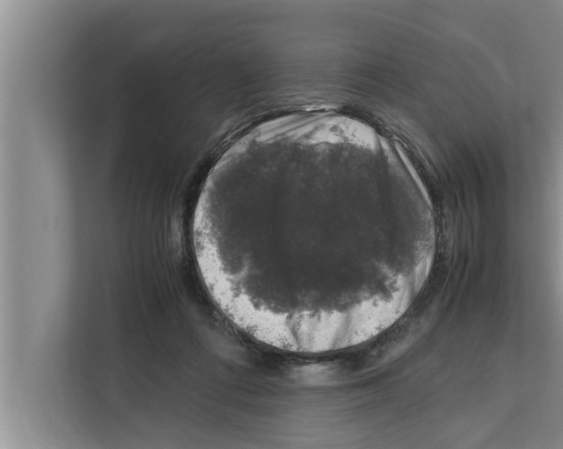 X0000111600312200908271014