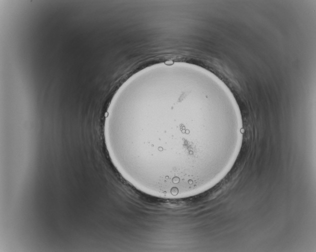 X0000111600317200908271014
