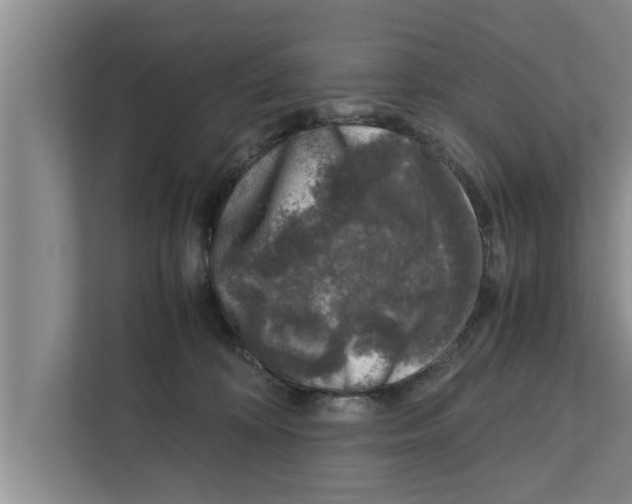 X0000111600324200908271014
