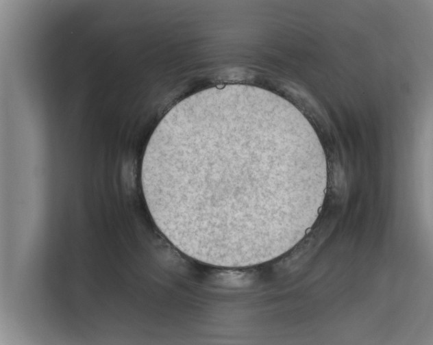 X0000111600326200908271014
