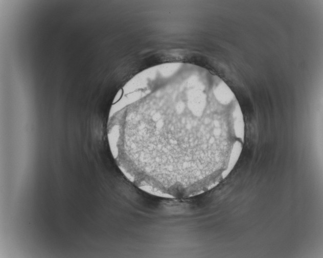 X0000111600331200908271014