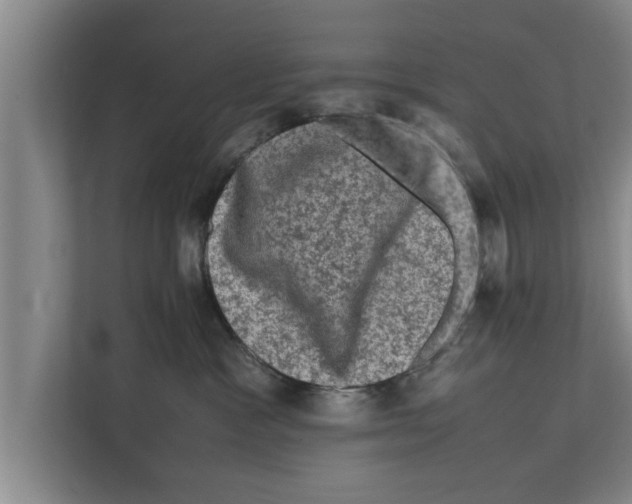 X0000111600333200908271014