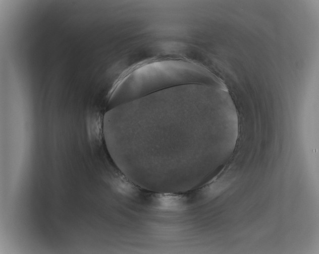 X0000111600336200908271014