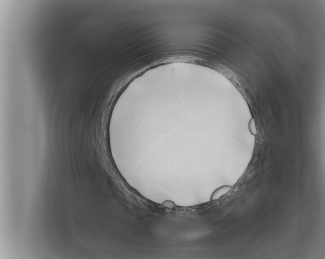 X0000111600337200908271013