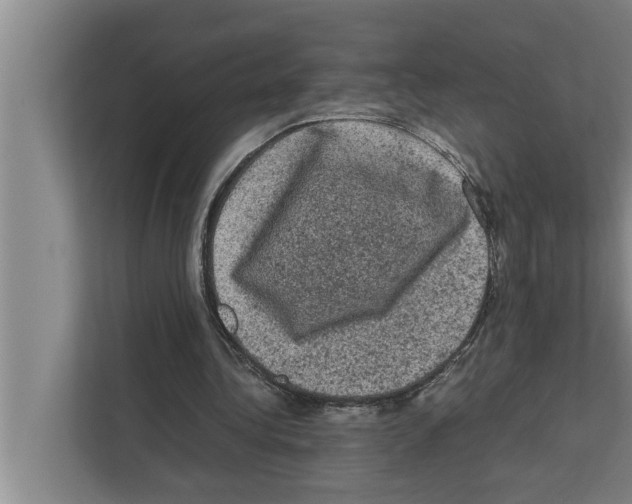 X0000111600340200908271013
