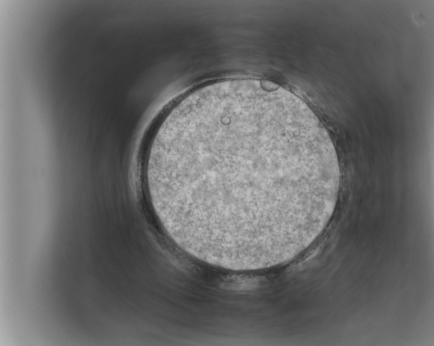X0000111600343200908271013