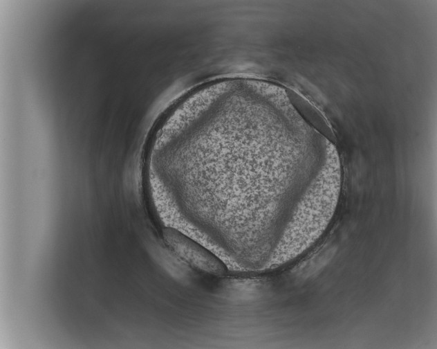 X0000111600344200908271013