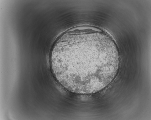 X0000111600345200908271013