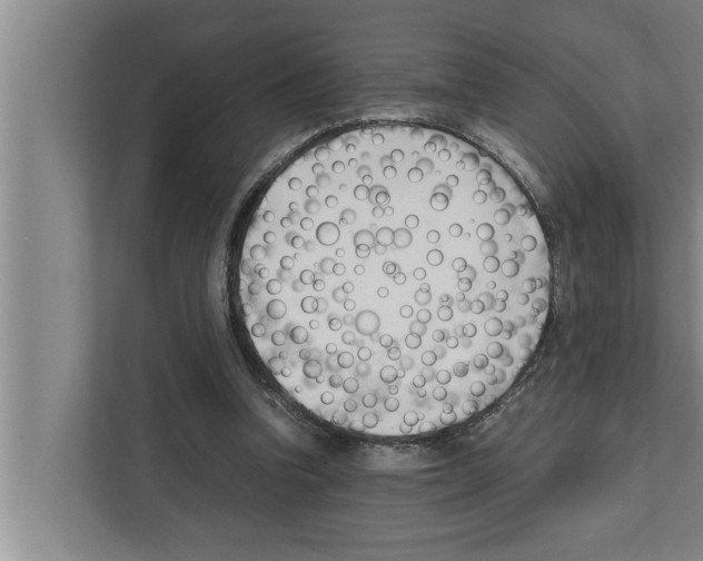 X0000111600346200908271013