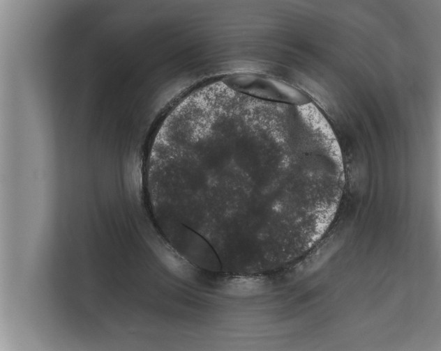 X0000111600350200908271013