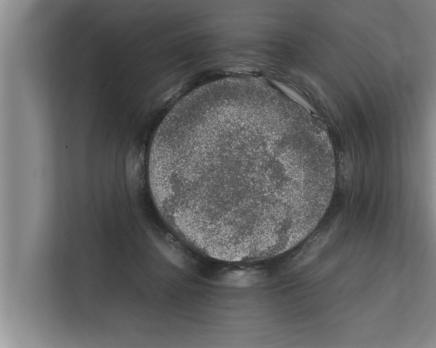 X0000111600364200908271013