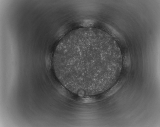 X0000111600370200908271013