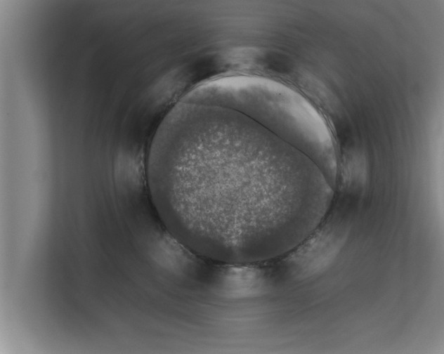 X0000111600376200908271013