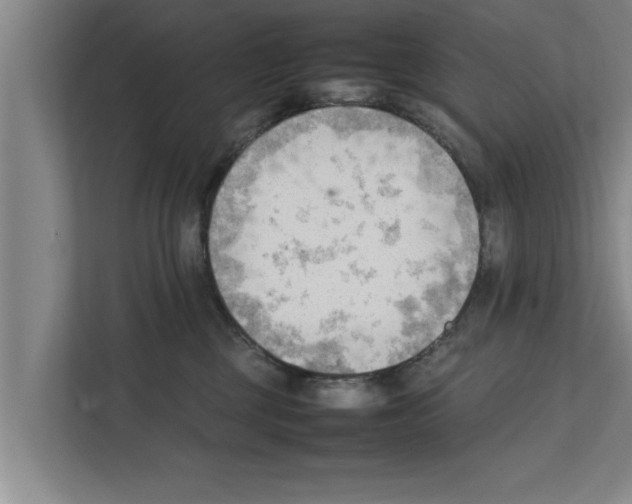 X0000111600377200908271013