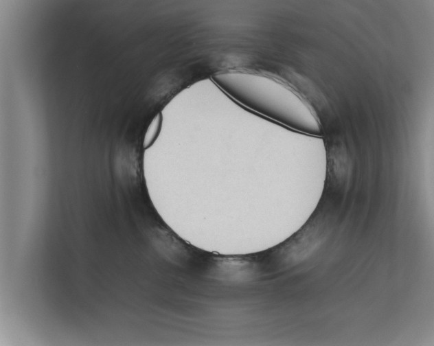X0000111600380200908271014