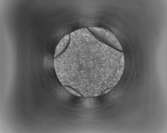 X0000111600384200908271014