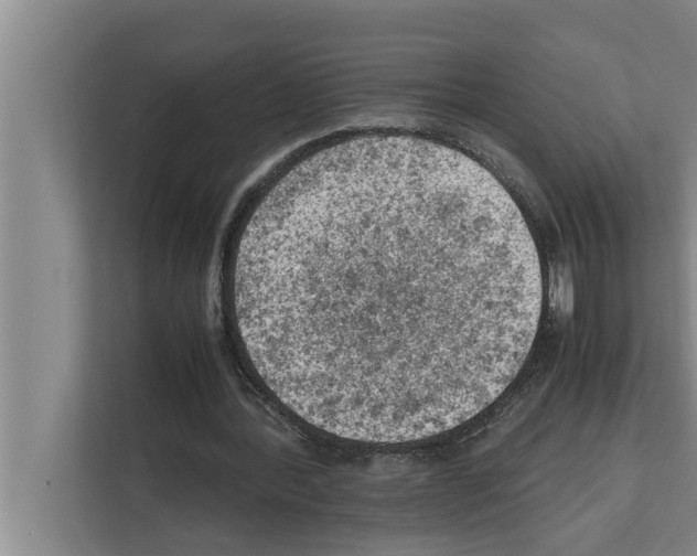 X0000111600388200908271013