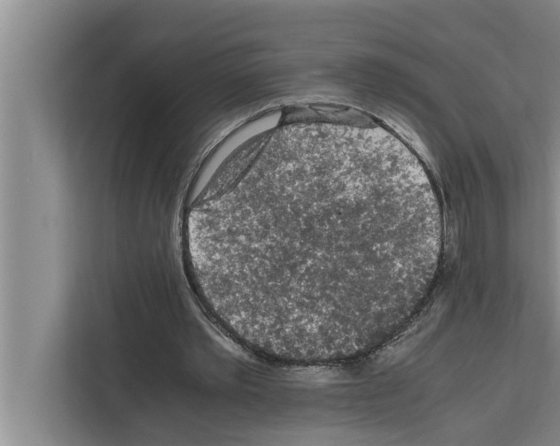 X0000111600389200908271013