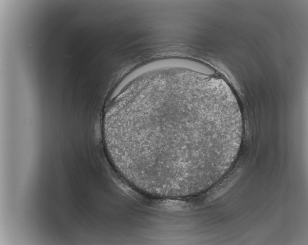 X0000111600393200908271013