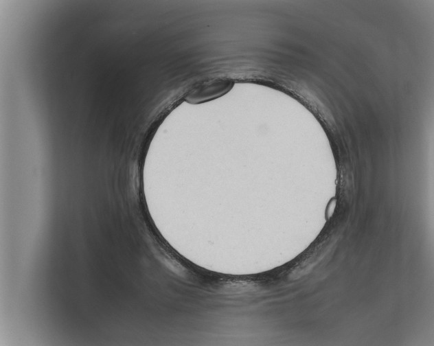 X0000111600397200908271013