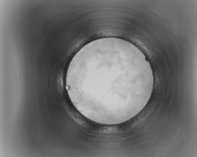 X0000111600398200908271013