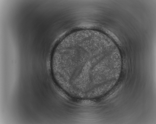 X0000111600399200908271013