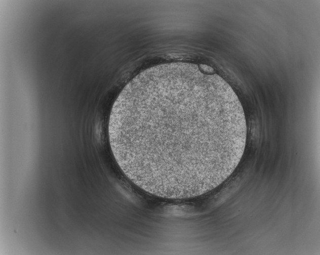 X0000111600408200908271013