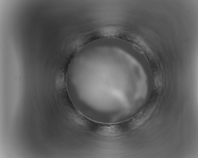 X0000111600411200908271013