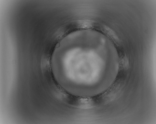 X0000111600415200908271013