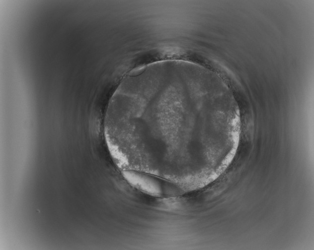 X0000111600417200908271013