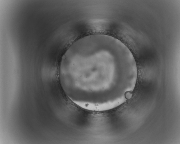 X0000111600419200908271013