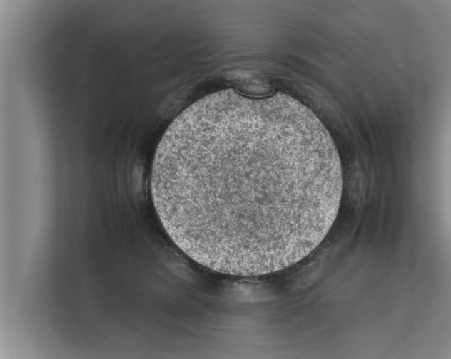 X0000111600420200908271012