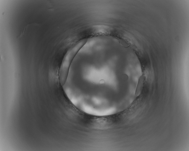 X0000111600423200908271012