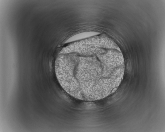 X0000111600424200908271012