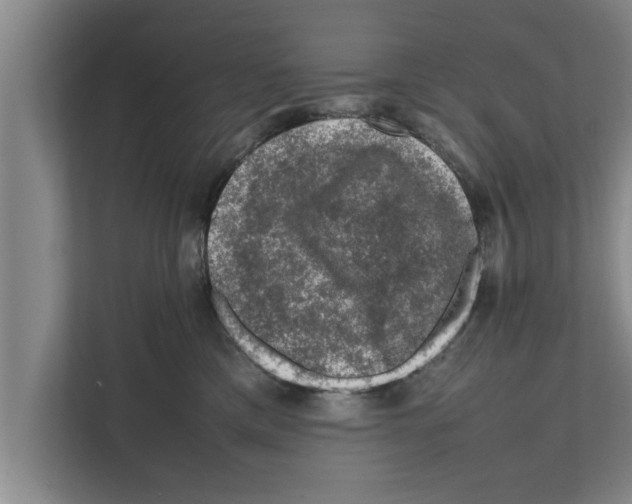 X0000111600425200908271012