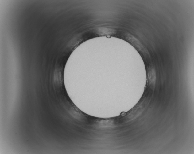 X0000111600426200908271012
