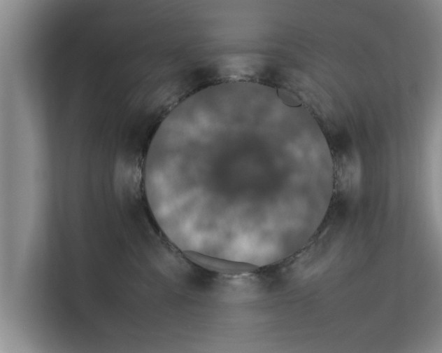 X0000111600427200908271012