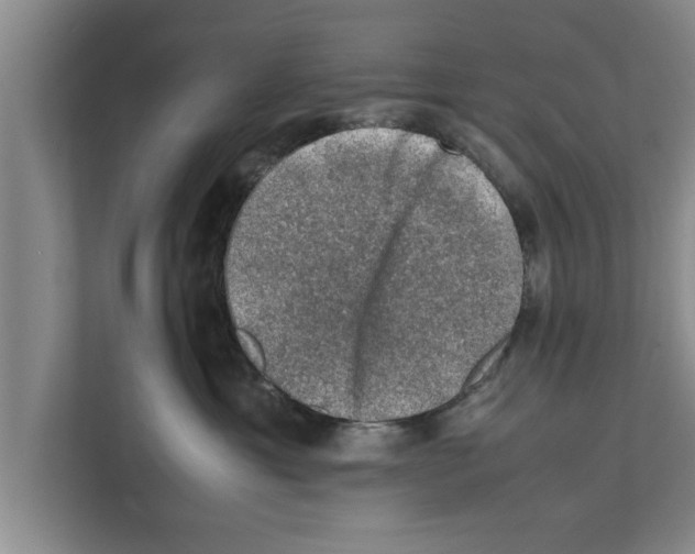 X0000111600429200908271012