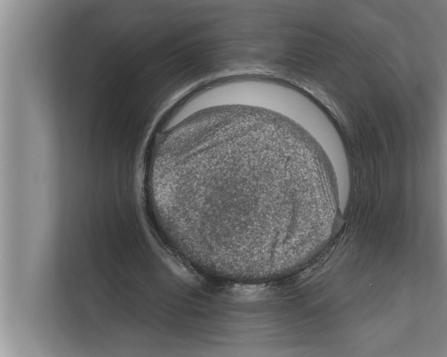 X0000111600440200908271012